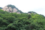 山林