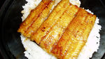 美味鳗鱼饭
