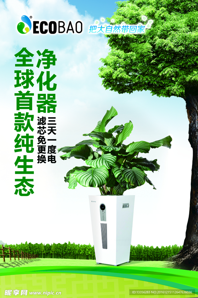 净化