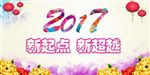 2017年 鸡年