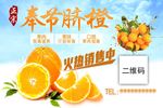 奉节脐橙  橙都