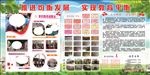 义教均衡发展