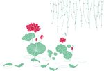 荷花矢量图