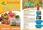 农业传单