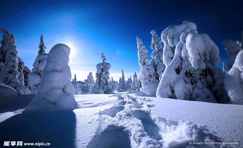 冬雪景观