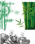 荷花 竹子 格式： PSD