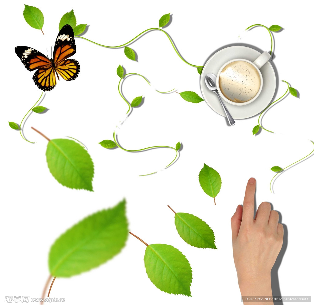 树叶 手势 咖啡 蝴蝶