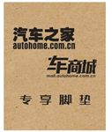 汽车之家专享脚垫