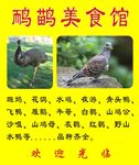鸸鹋美食馆