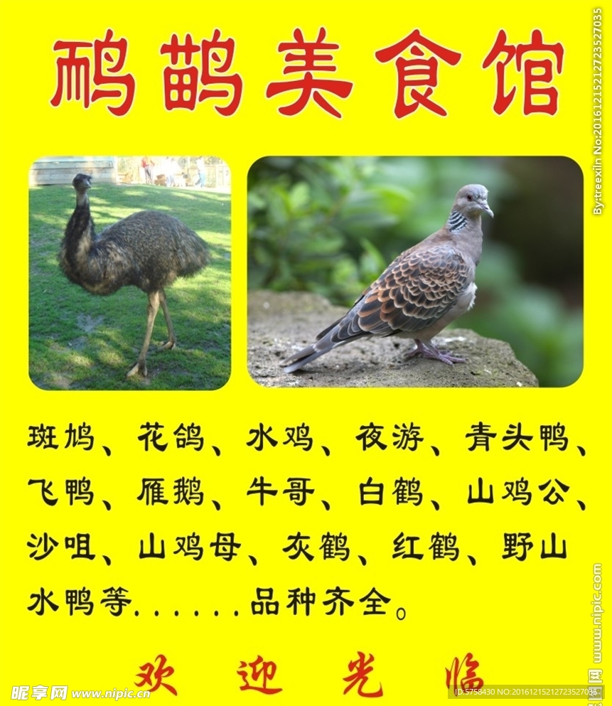 鸸鹋美食馆