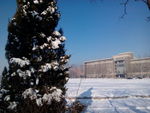 辽宁大学