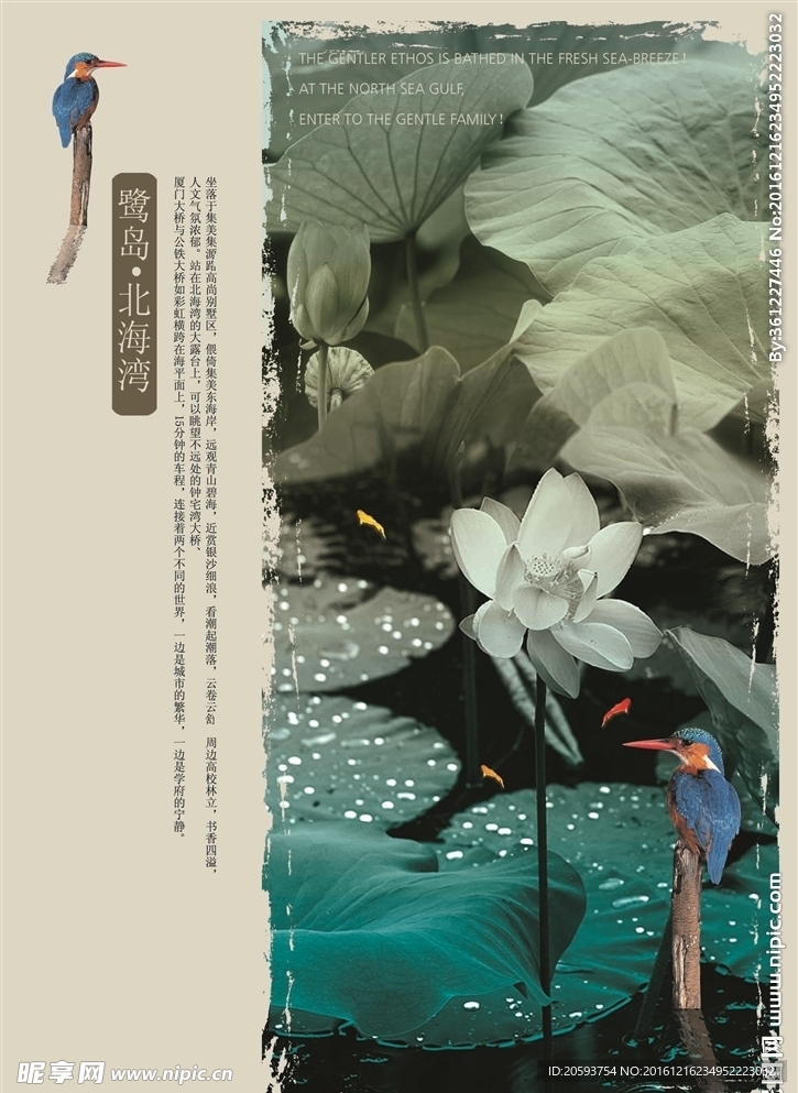 地产海报
