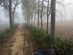乡间早晨
