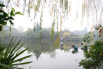 棠湖公园
