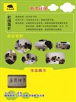 书法社团