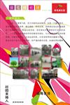 羽毛球社团