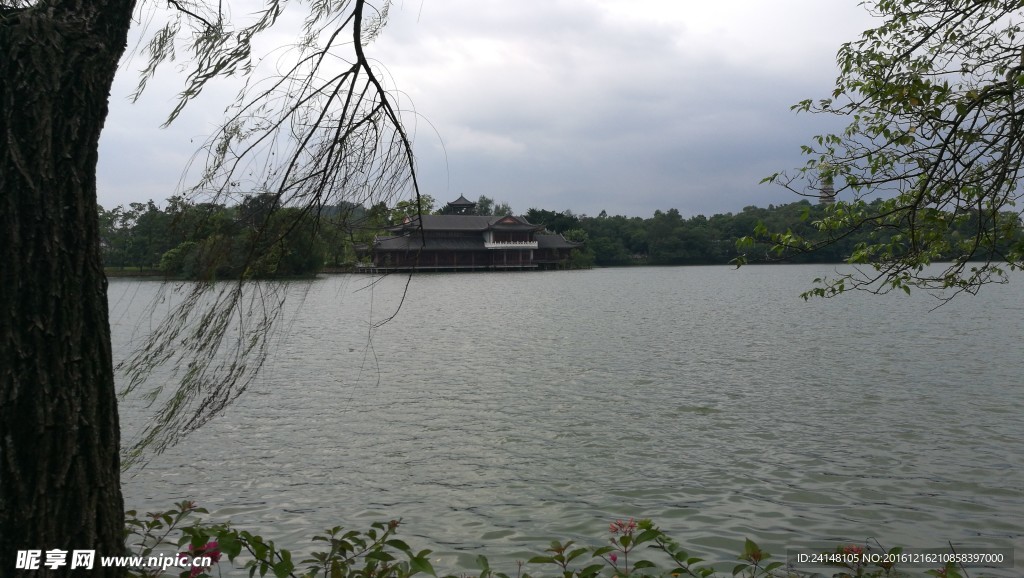 湖边之景