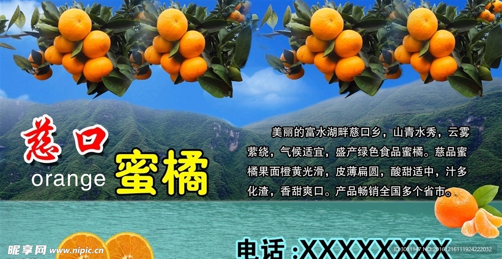 慈口蜜橘