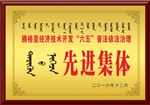 先进集体
