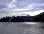 奥克兰海滨风光
