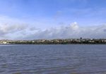 奥克兰海滨风景