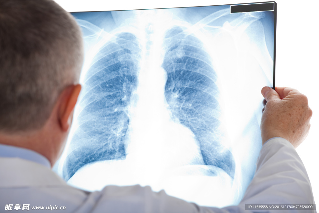 肺部造型高清图片