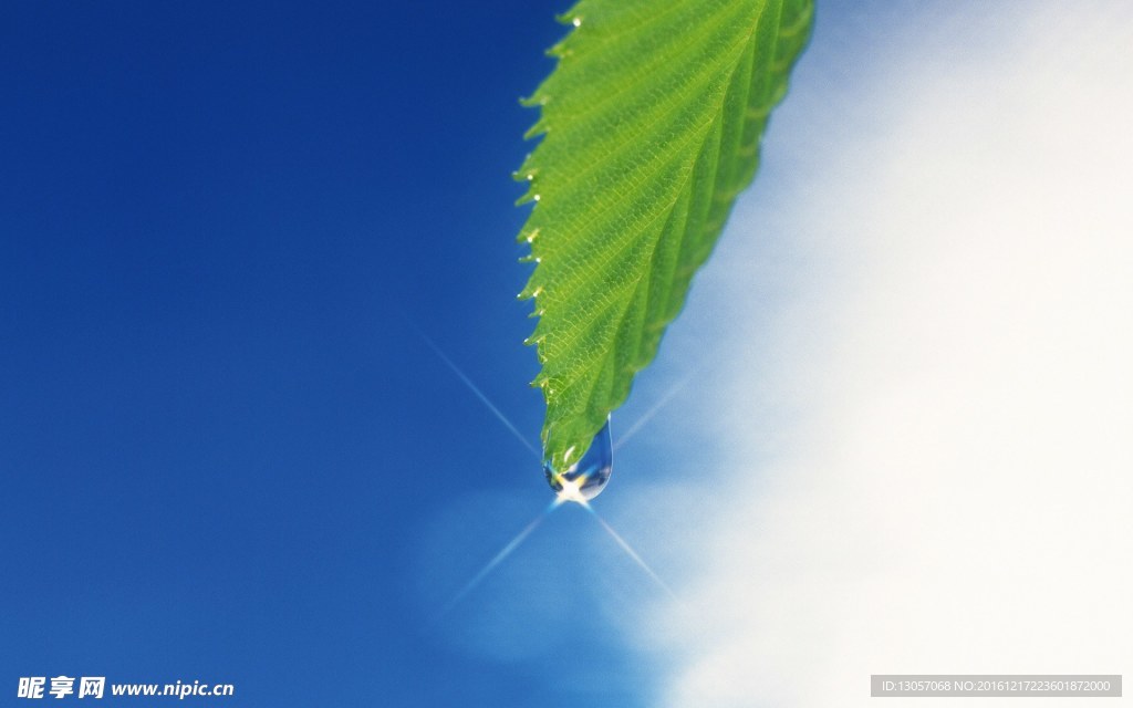 露水