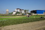 蔬菜基地浇灌