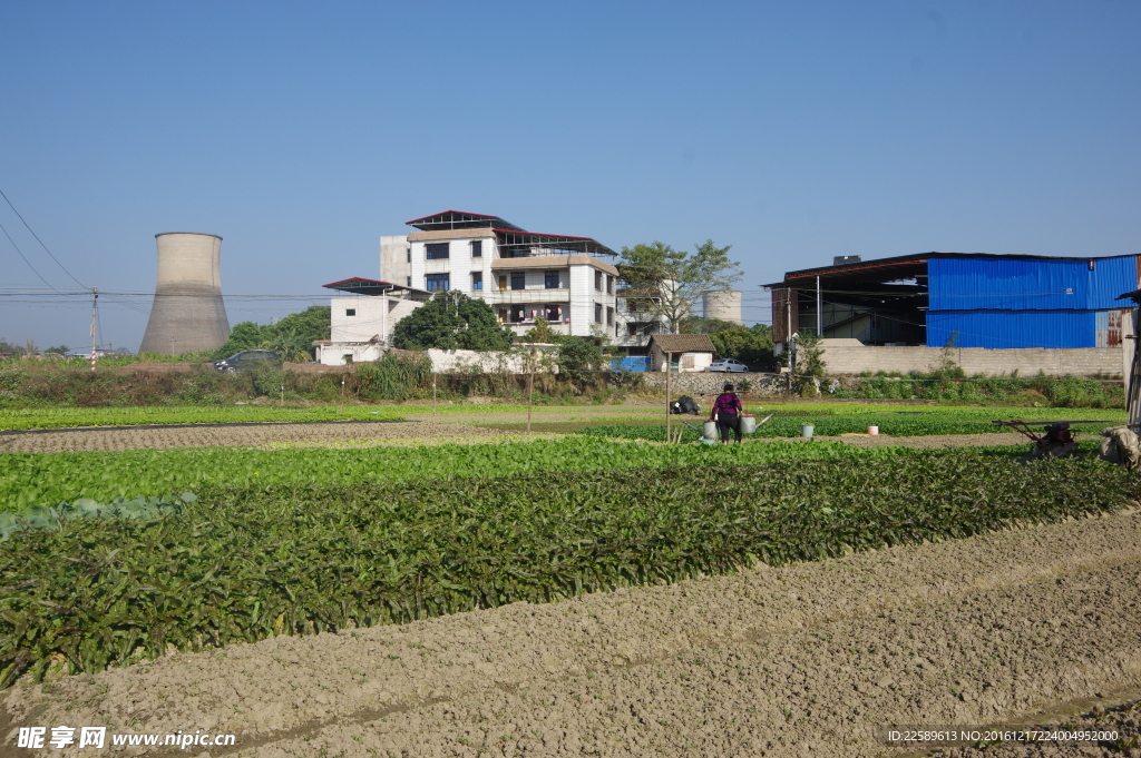 蔬菜基地浇灌