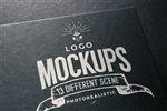 logo样机