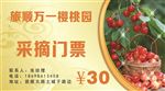 樱桃代金券
