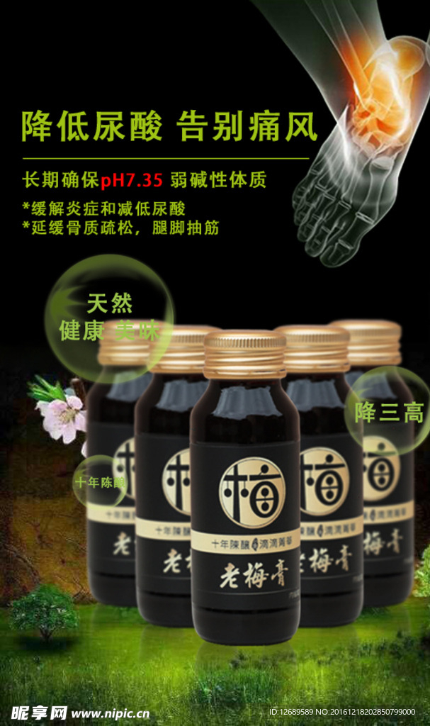 丽颜国际  青梅果  老梅膏