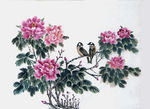 花与鸟