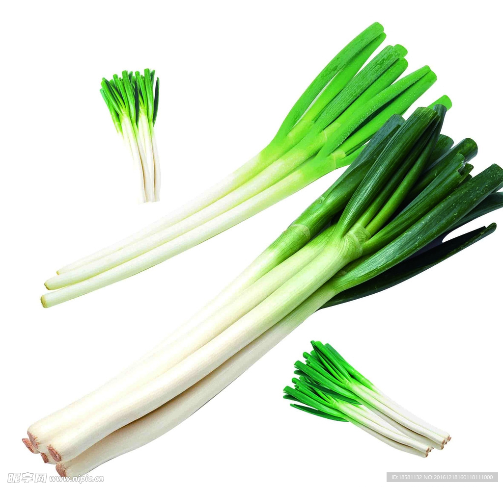 大葱