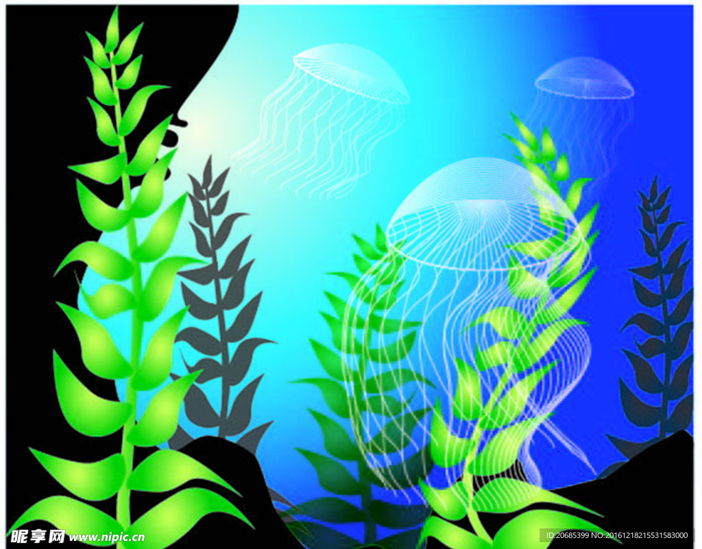 海草