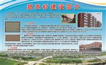 新农村