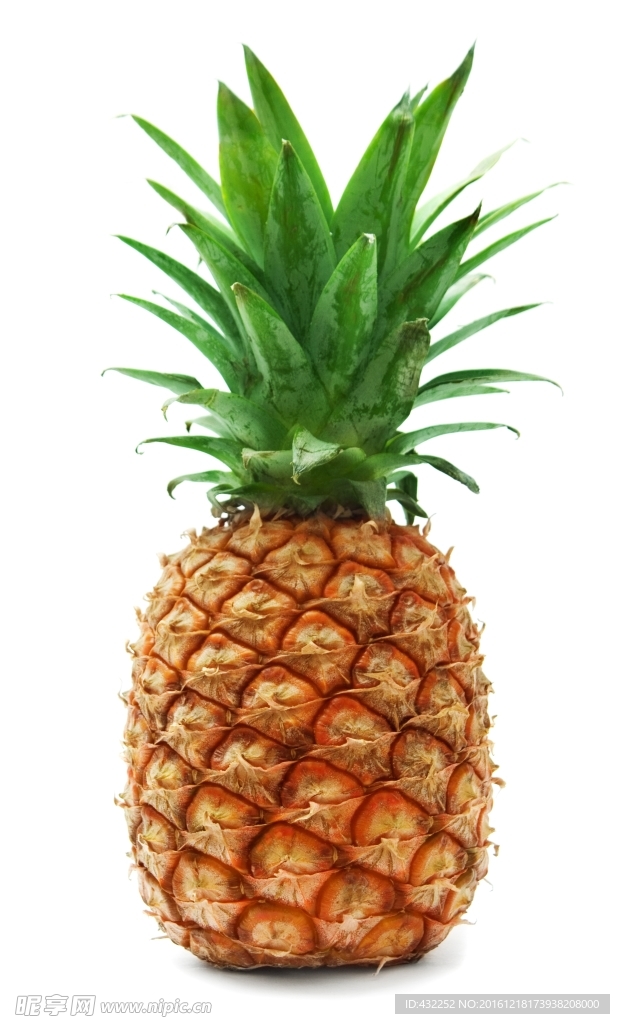 菠萝