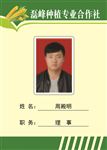 合作社胸牌