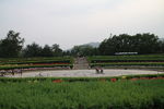 植物园