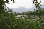 植物园