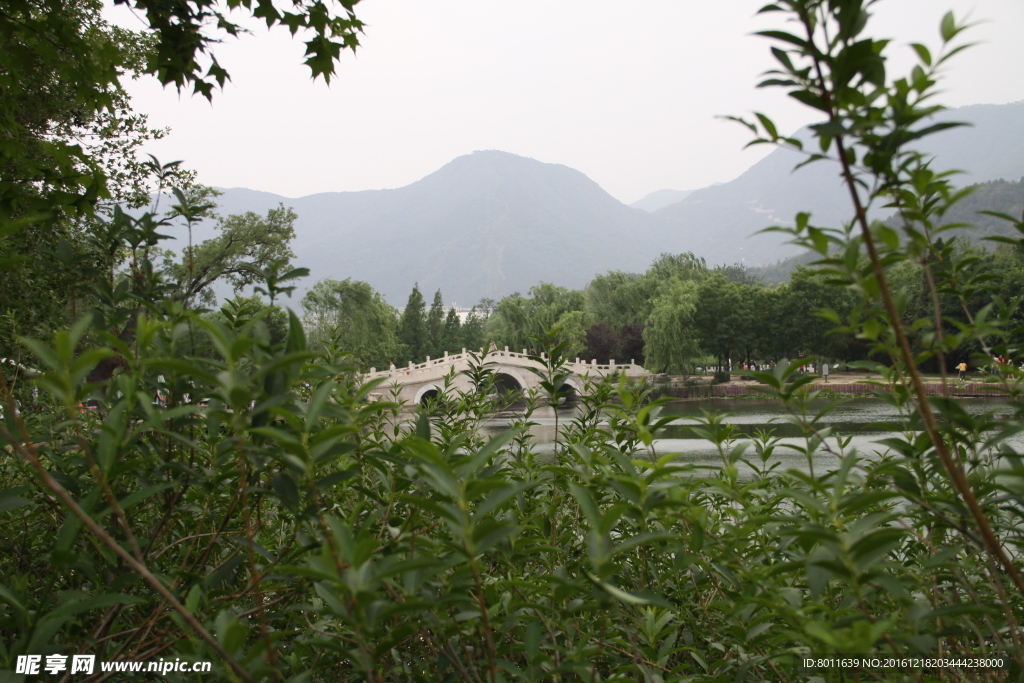 植物园