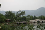植物园