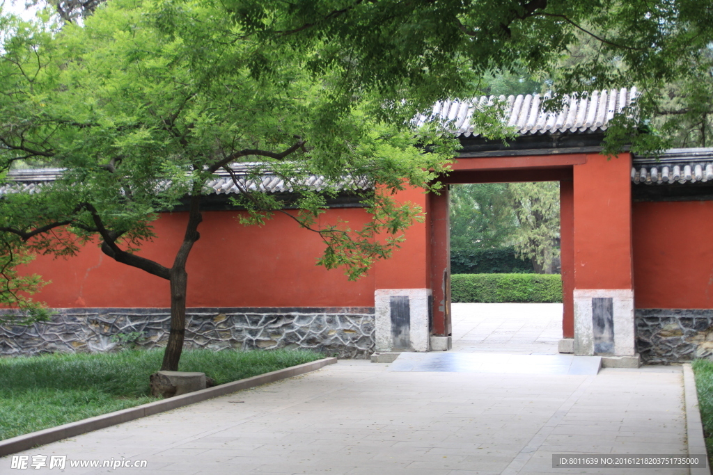 植物园