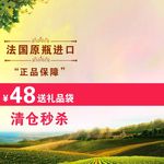 淘宝主图 葡萄酒主图