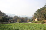 韶山