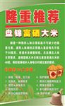 隆重推荐