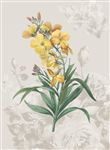 花卉