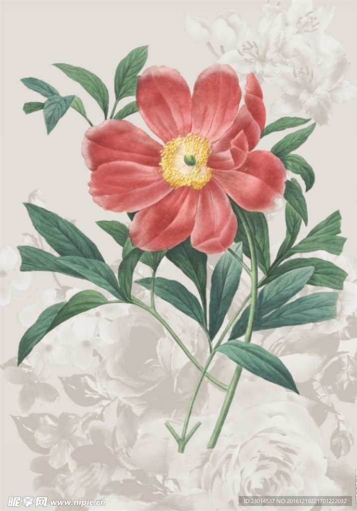 花卉
