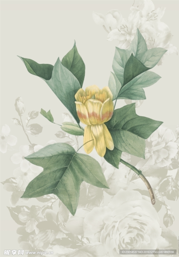 花卉