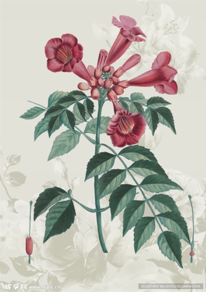 花卉